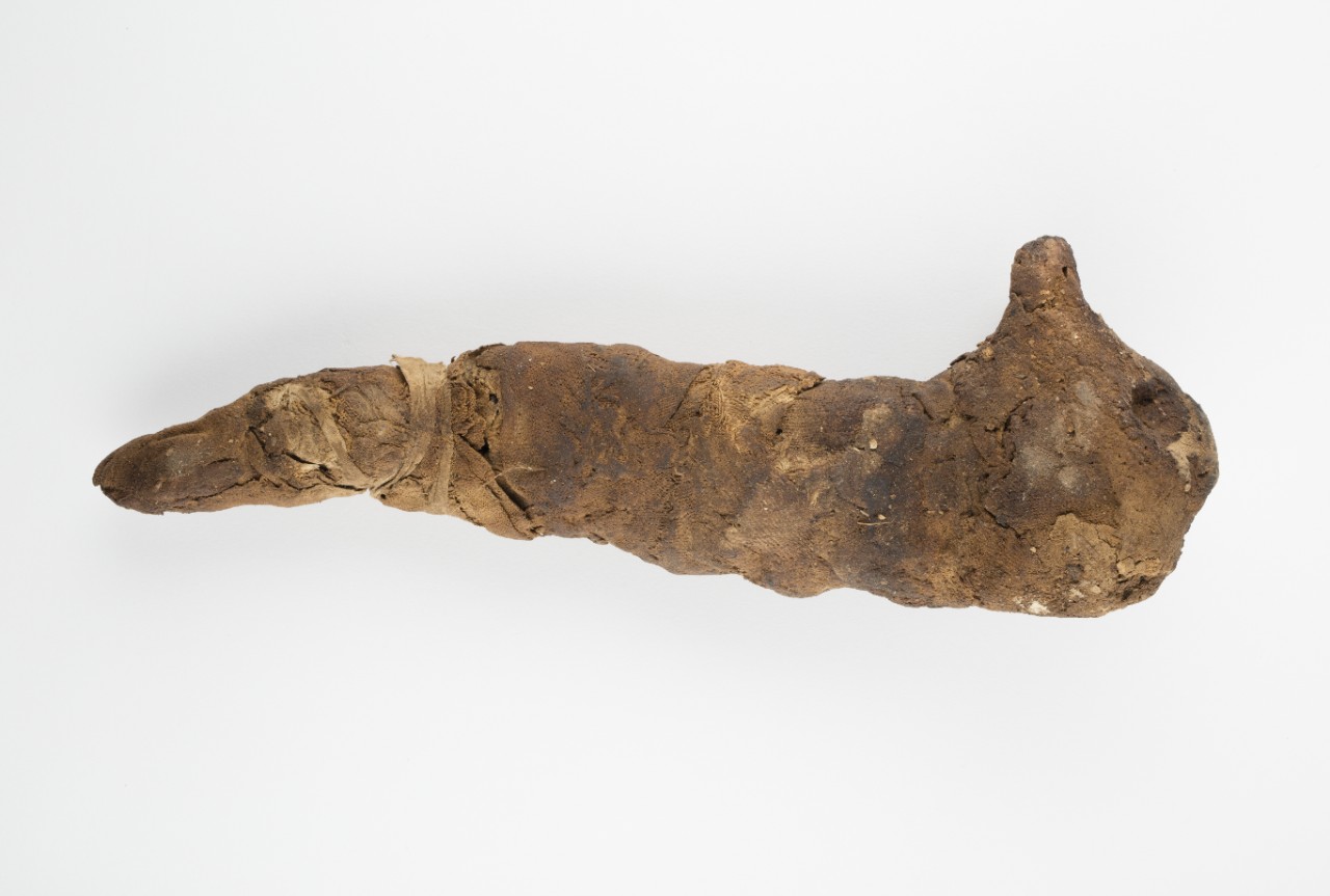 Mummified cat