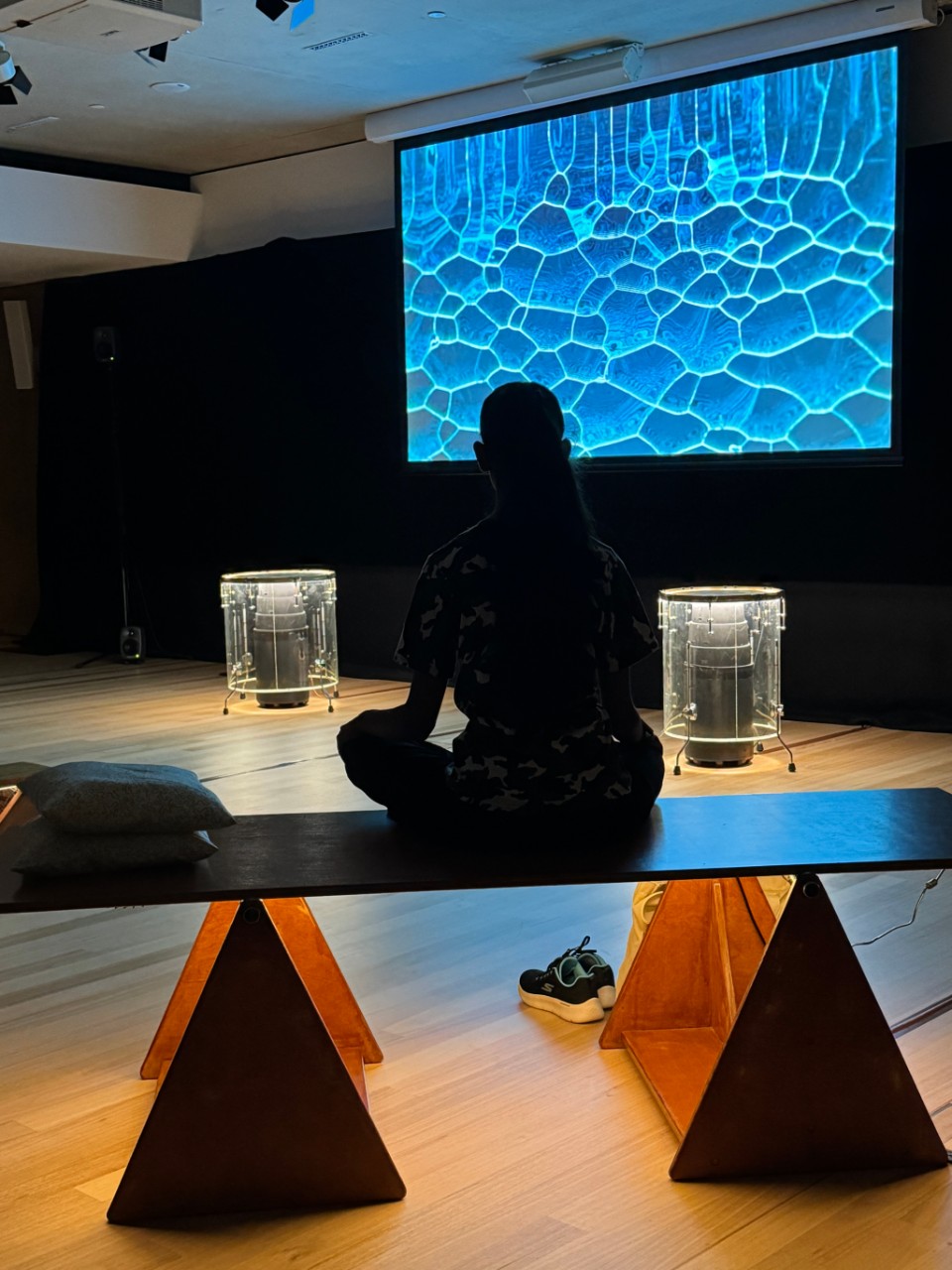 a darkened room with a woman listening to sounds of nature