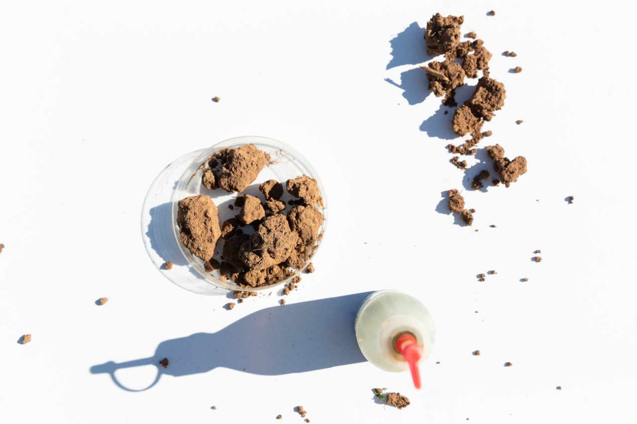 Samples of soil 