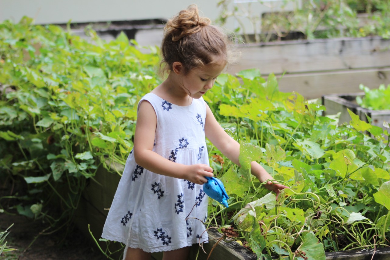 photo of a little girl watering some plants in the garden