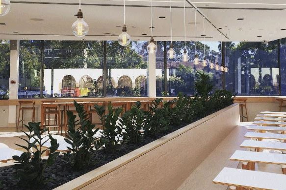 Courtyard cafe