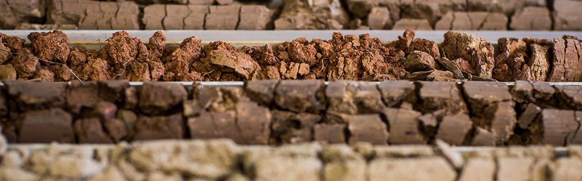 Soil