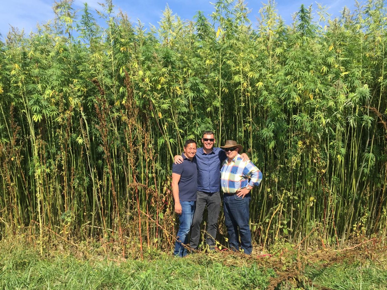 people in hemp