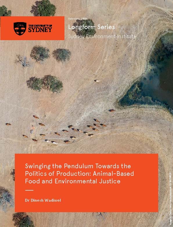 Front cover of longform essay featuring aerial image of sheep
