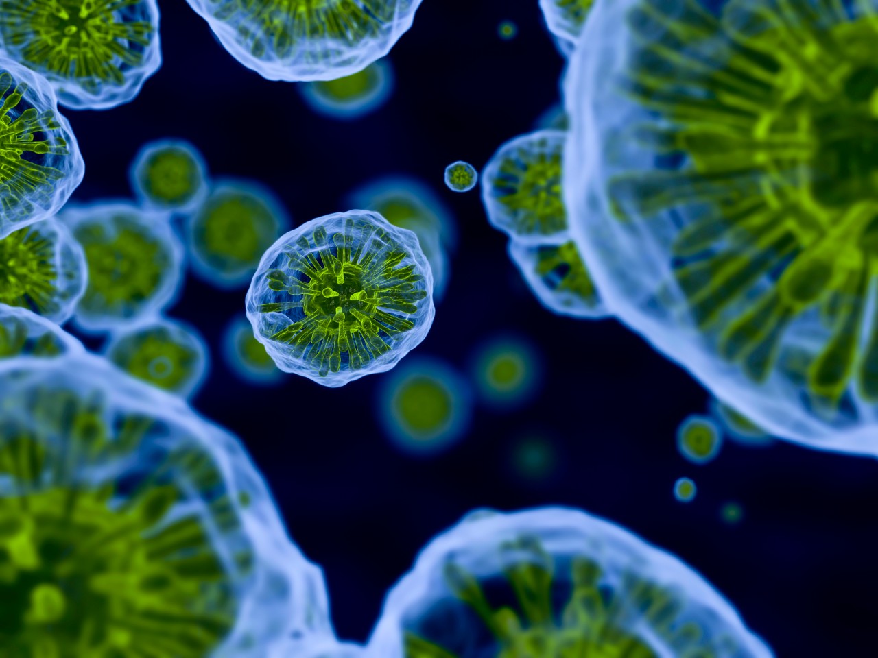 Virus