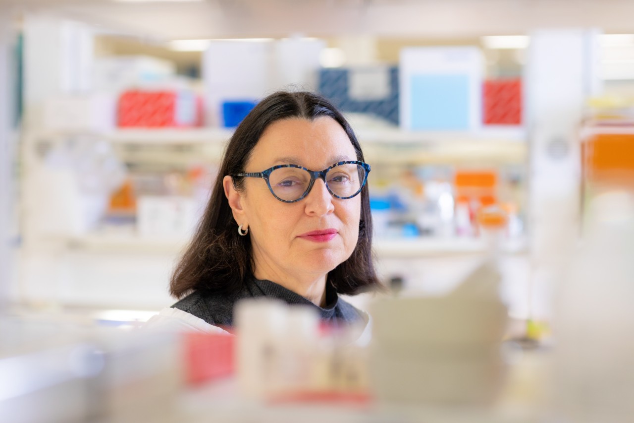 Professor Glenda Halliday in the lab