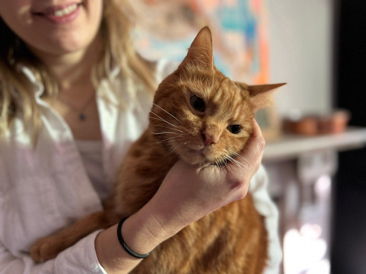 Phineas the cat