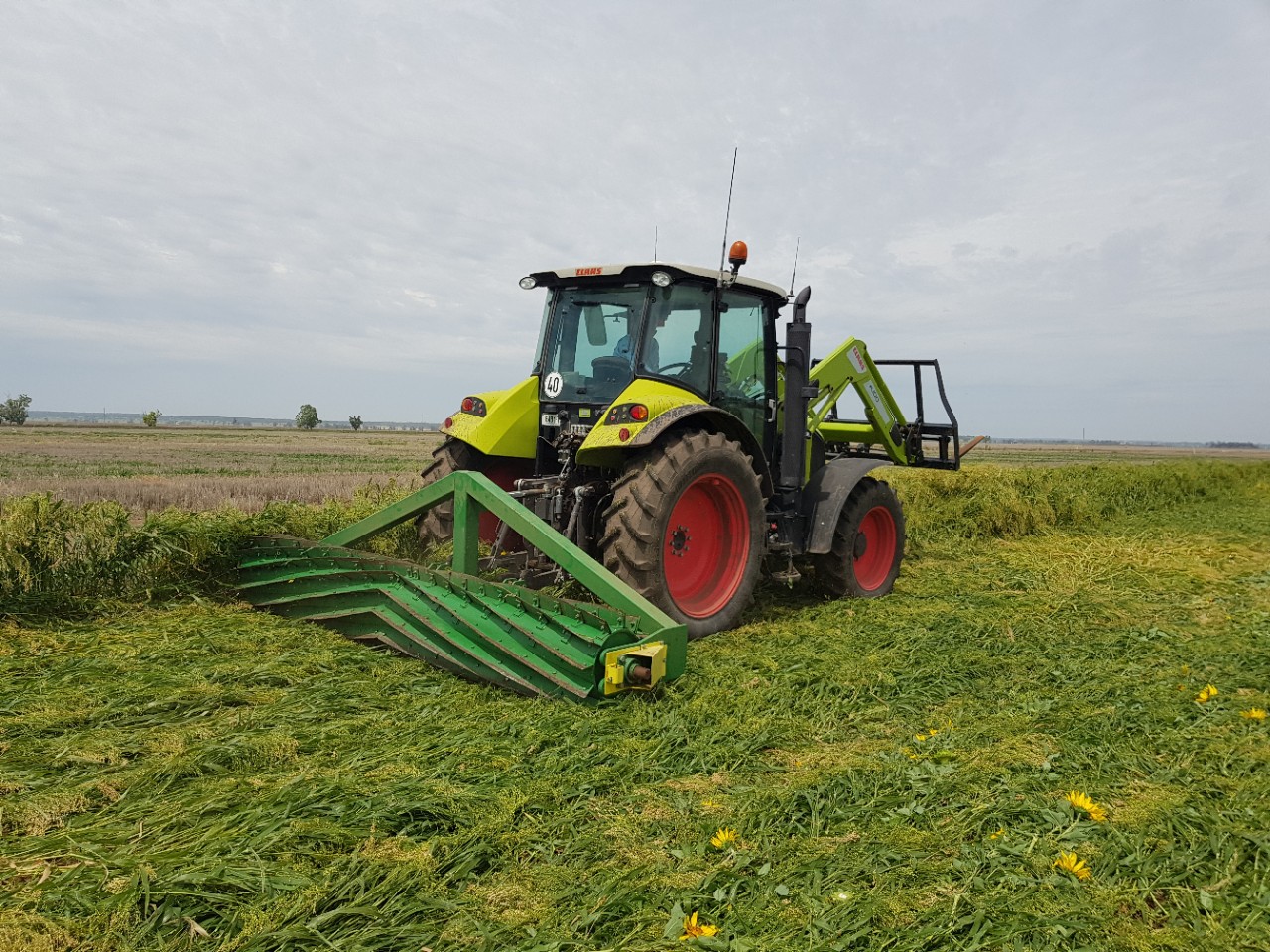 Cover crops being terminated, Narrabri Plant Breeding Institute.