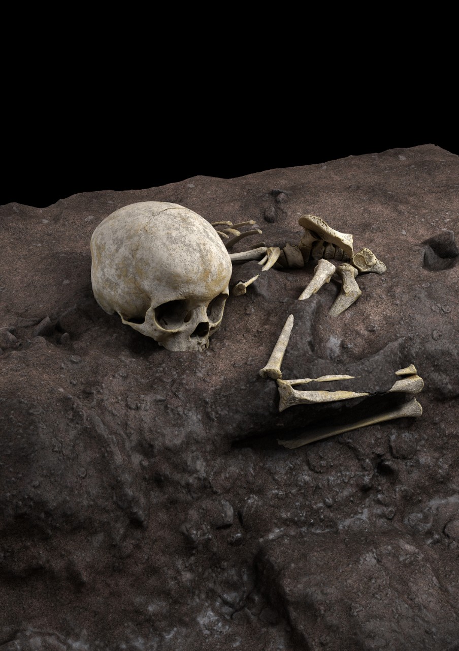Artist drawing of the child skeleton in position in the burial pit	 